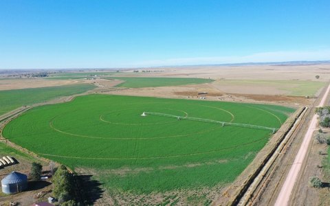 Irrigated Farmland Tract with Pivots