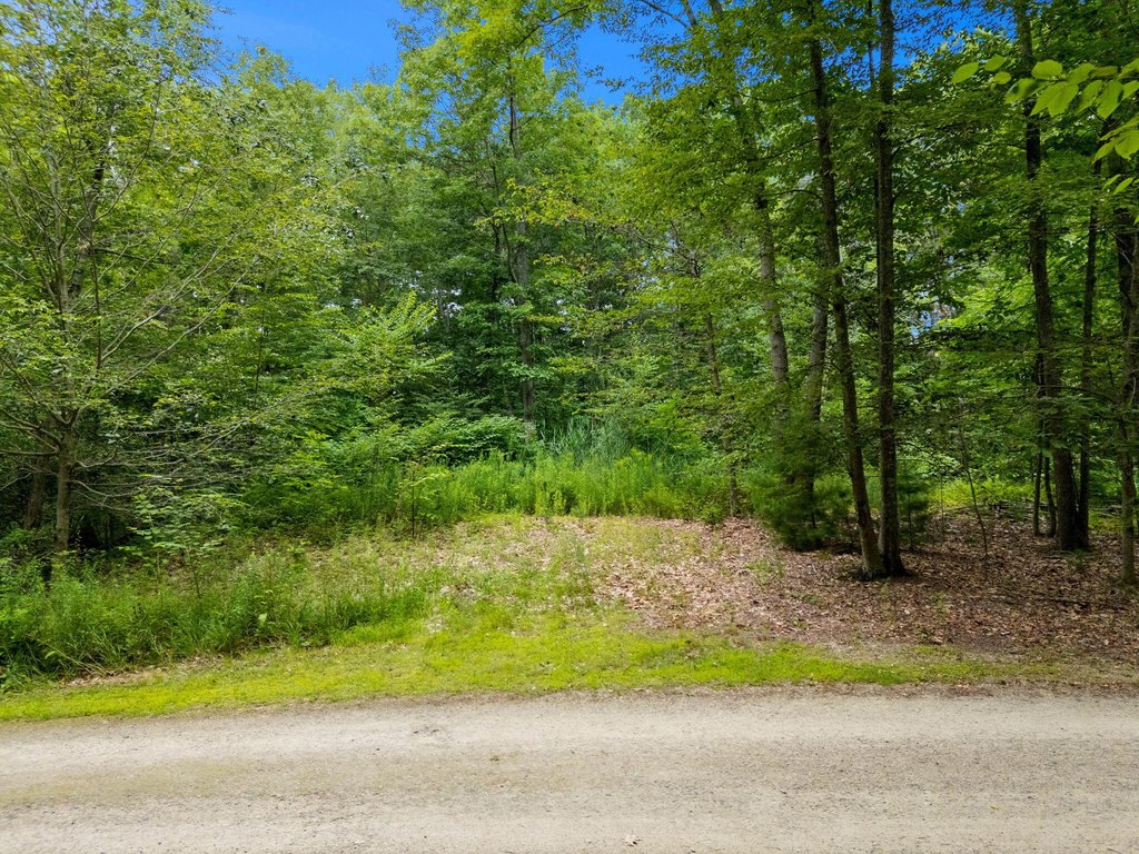 Picture 3