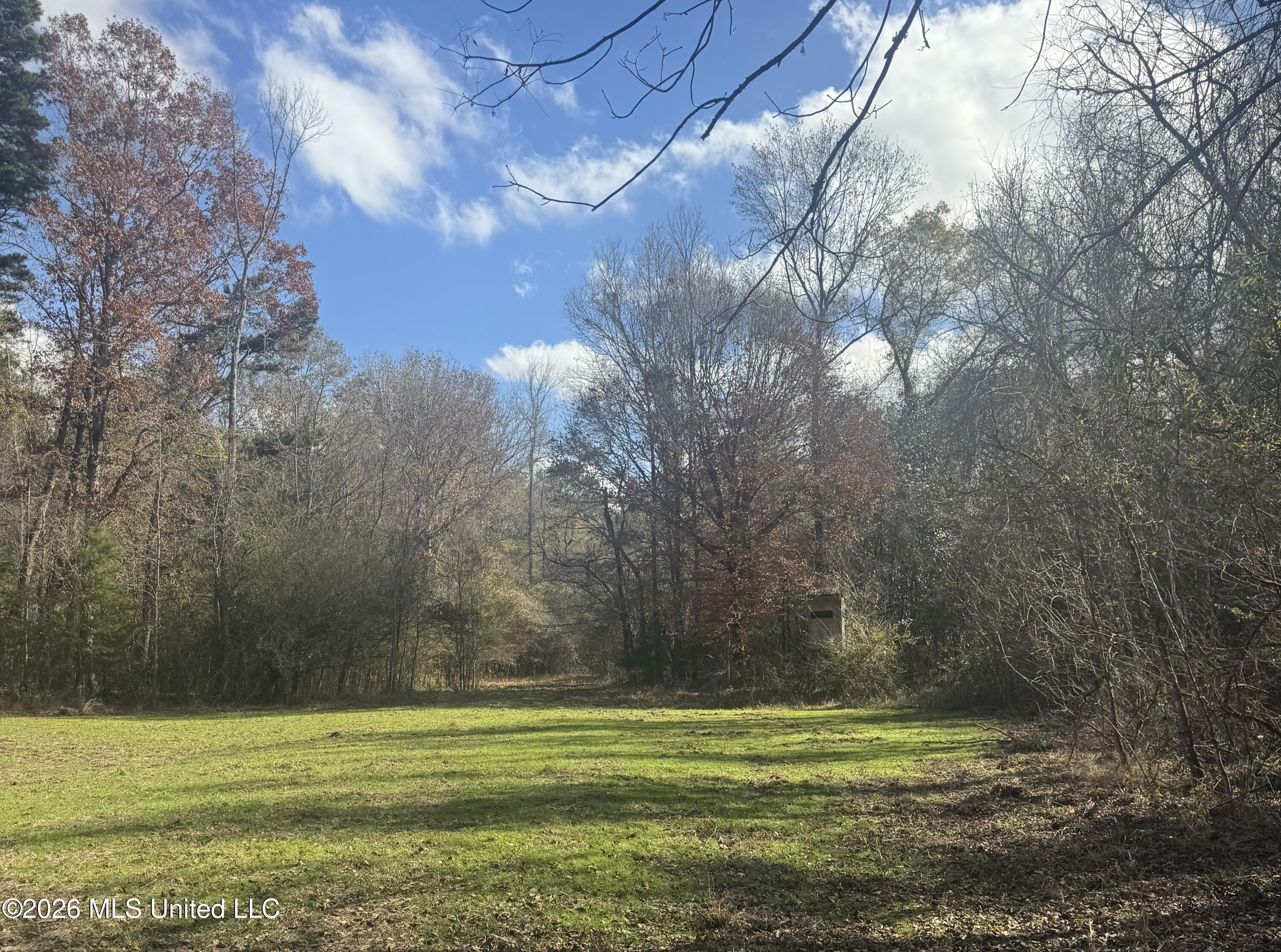 370 Acres Managed Timberland