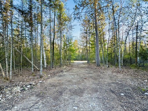 Presque Isle Vacant Land Parcel