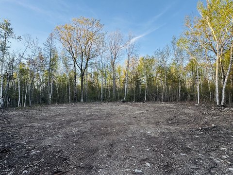 Presque Isle Vacant Land Parcel