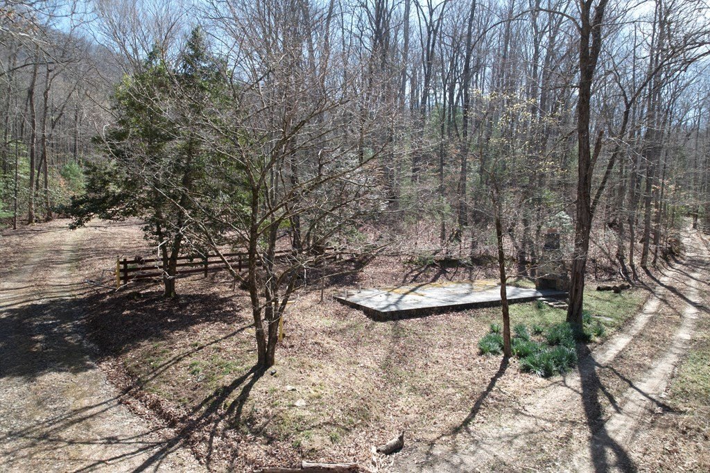 Picture 8