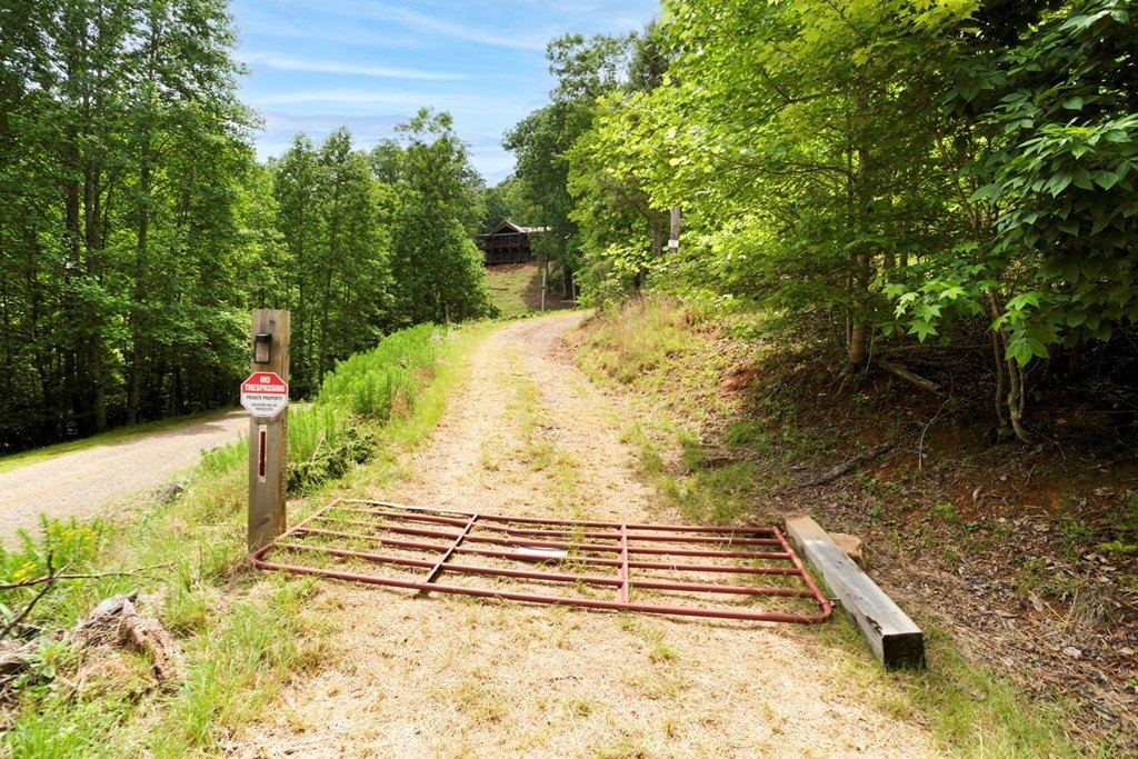 Picture 41