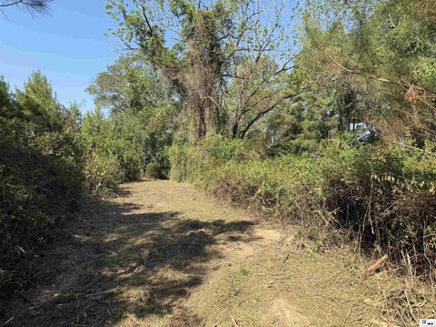 LAND, Bernice, LA