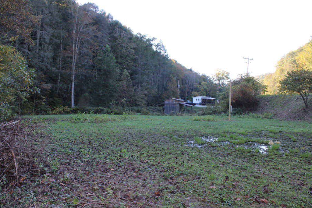Picture 7