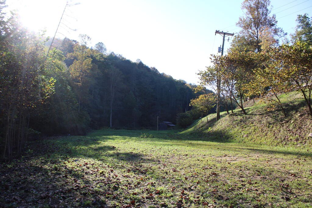 Picture 3