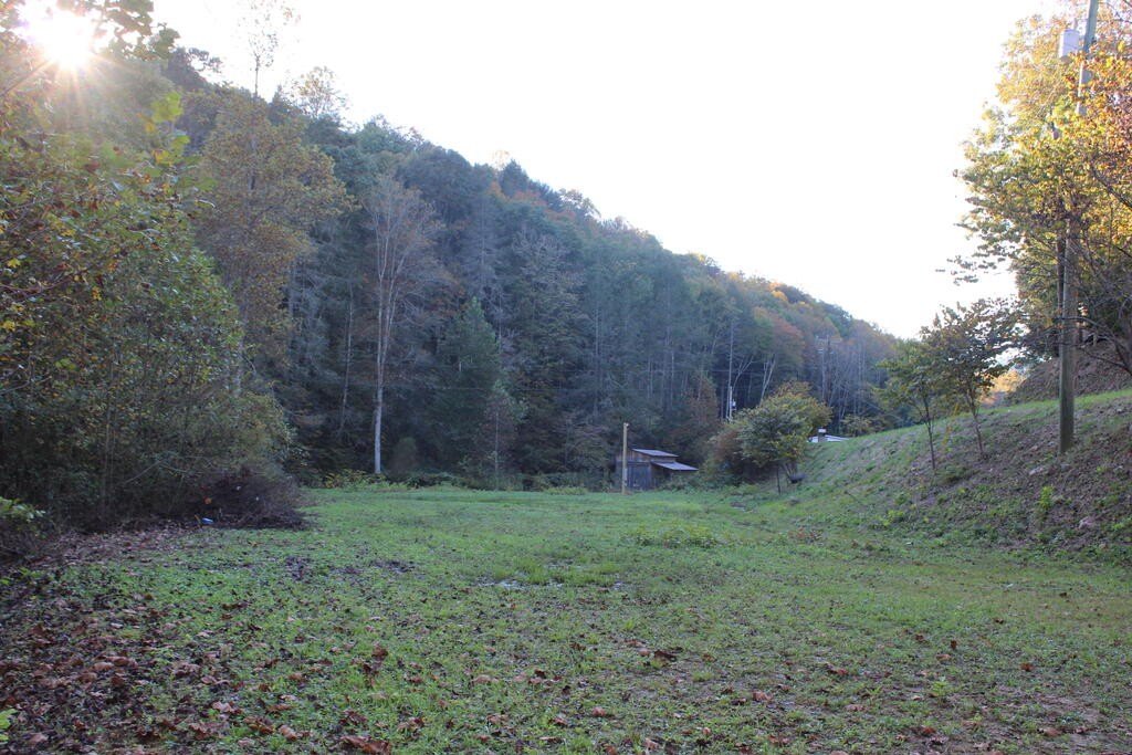 Picture 13