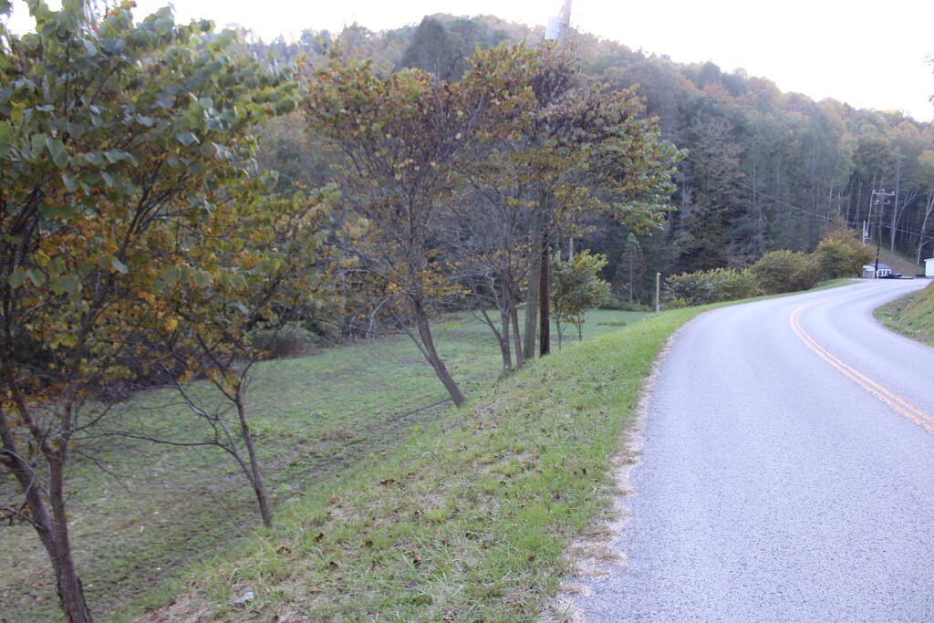Picture 17