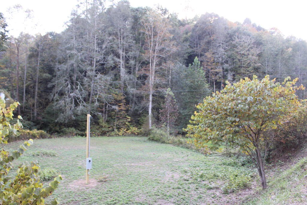 Picture 16