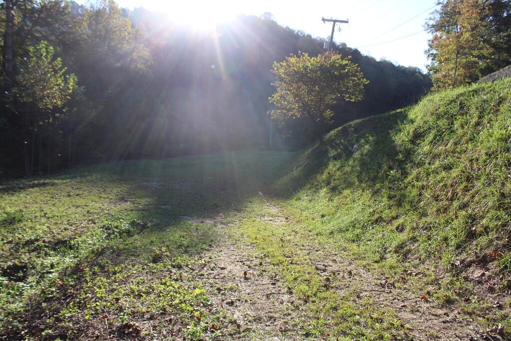 Picture 12