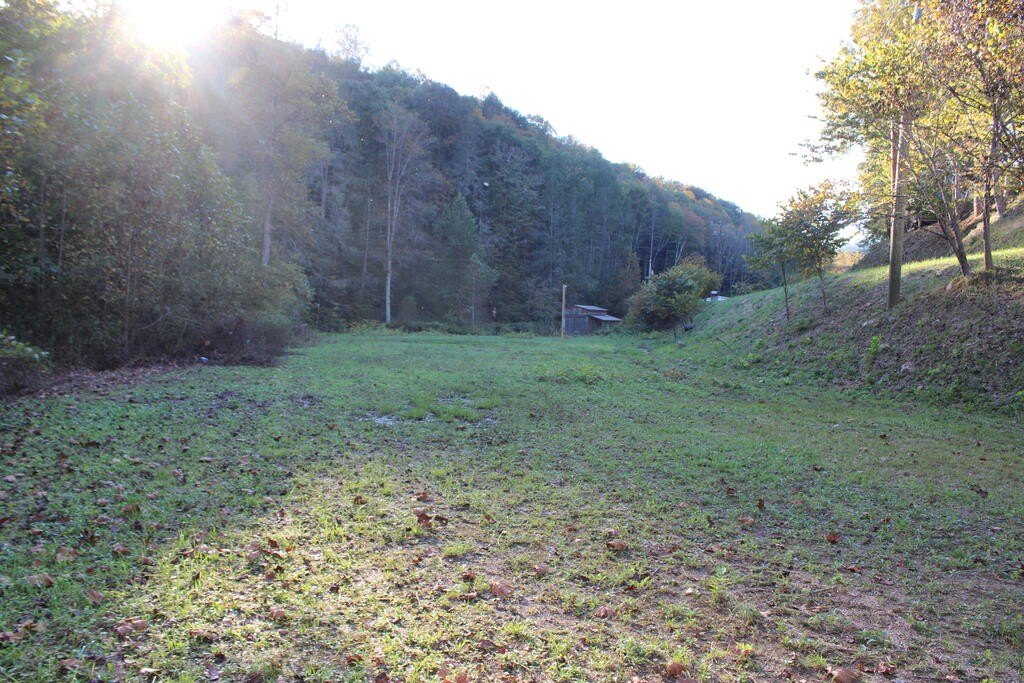Picture 11