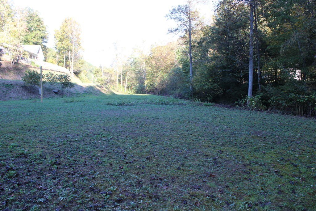 Picture 8