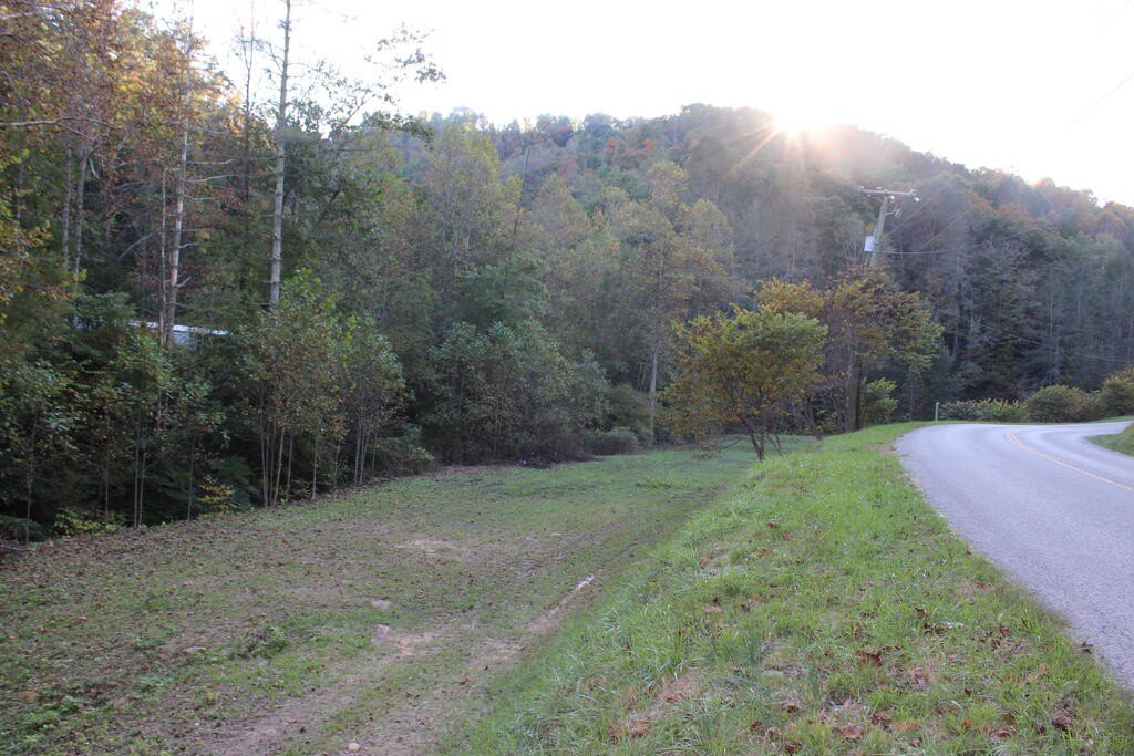 Picture 14