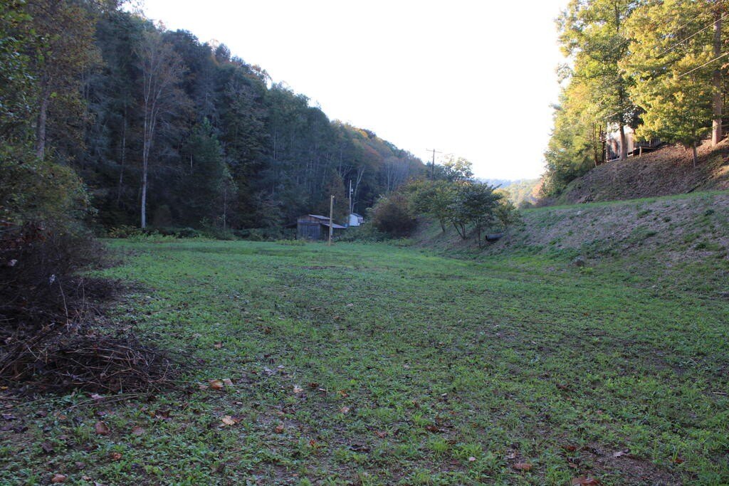 Picture 10