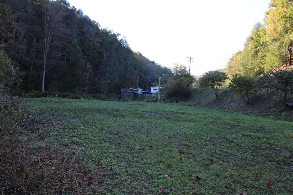 Picture 6