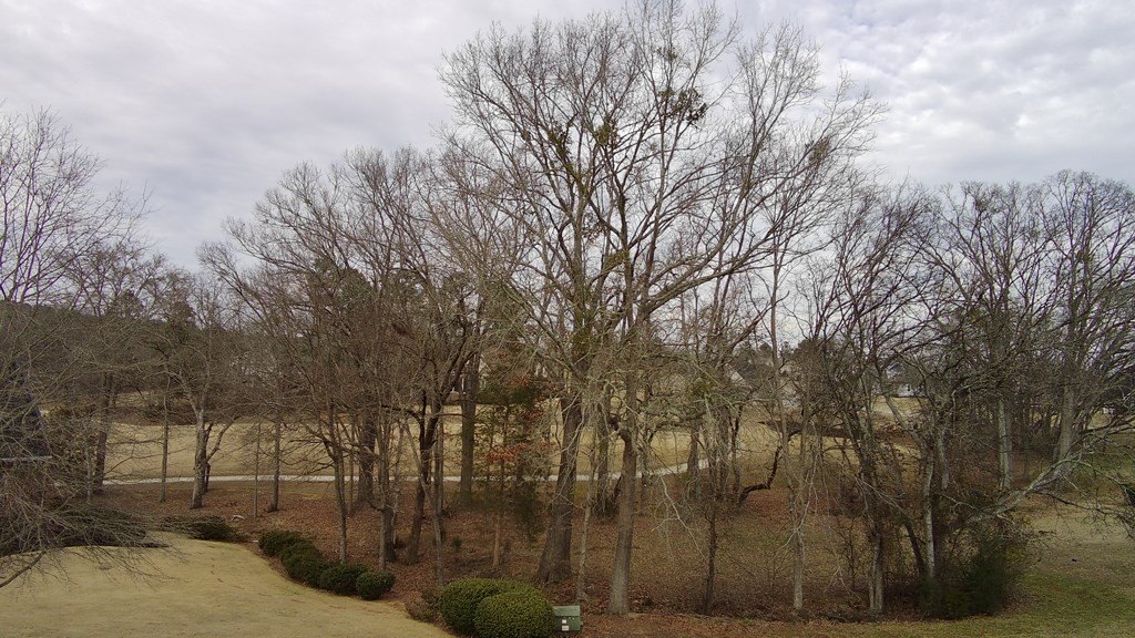Picture 6