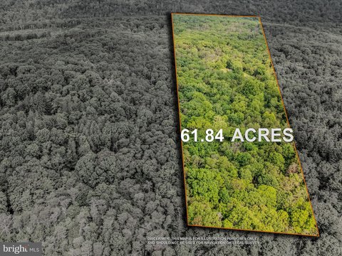 61.84 Acres Outdoorsmen Paradise