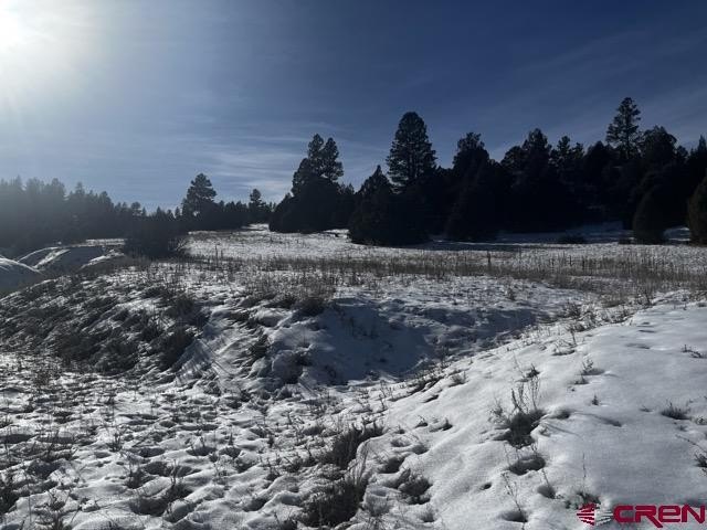 Picture 13