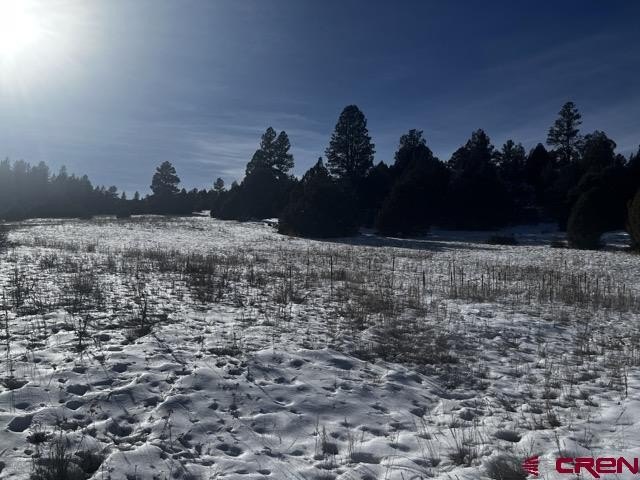 Picture 14