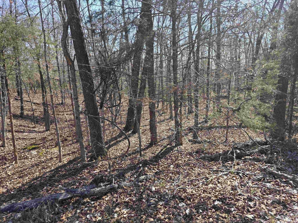 Picture 6
