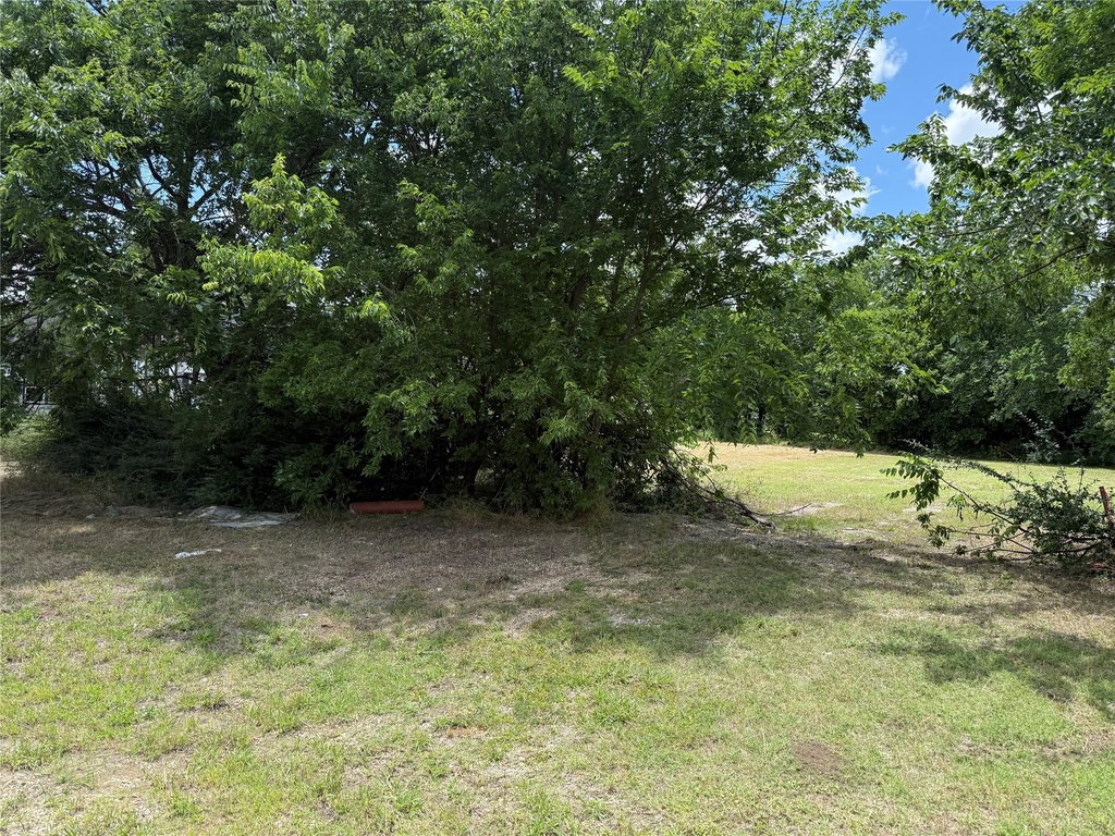 Picture 5