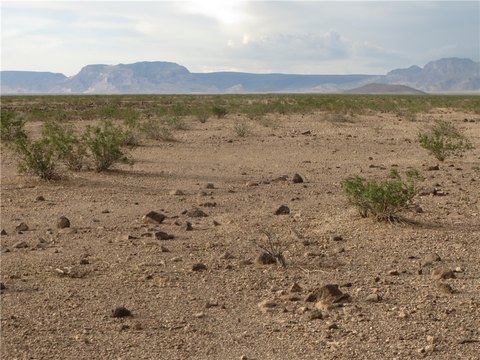 Land, Topock, AZ