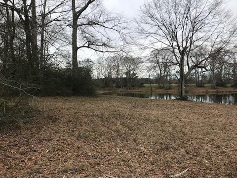 Residential Lot in Oak Haven