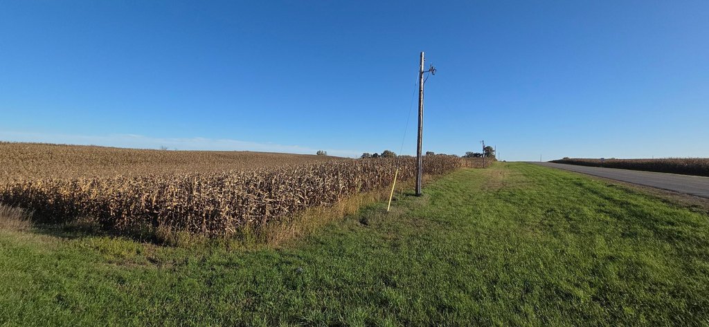 Picture 28