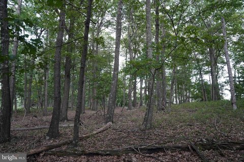 Wooded Lot in Cacapon Highlands