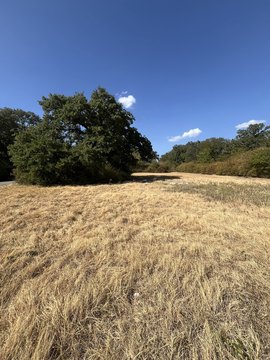 Land, Fort Worth, TX