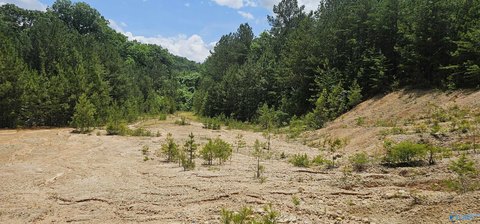 Unique Fort Payne Land Parcel