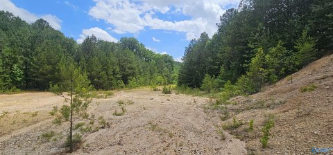Unique Fort Payne Land Parcel