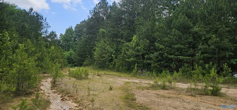 Unique Fort Payne Land Parcel