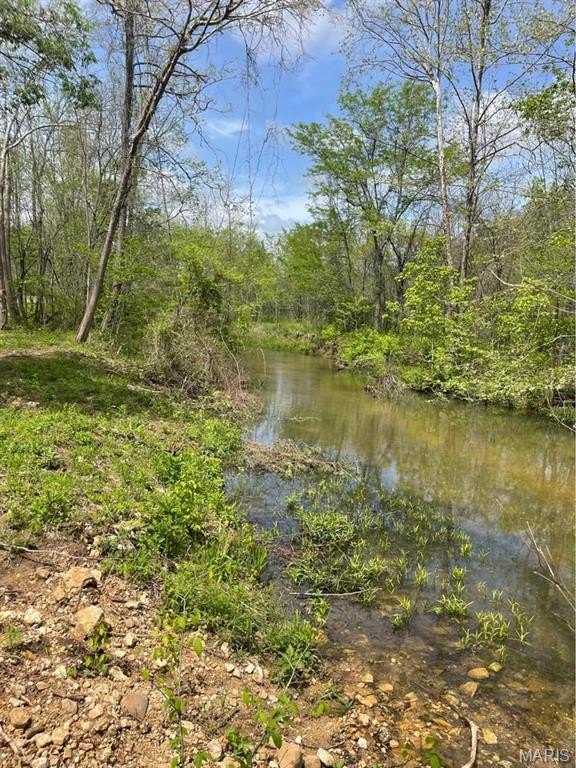 Land with Creek and Forest