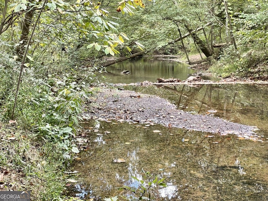 Picture 25