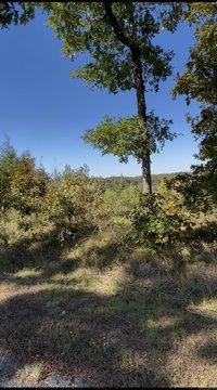 Hot Springs Wooded Lot