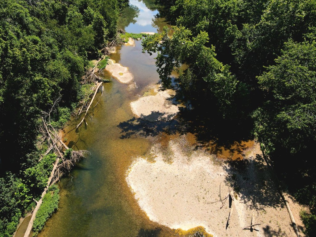 Picture 14