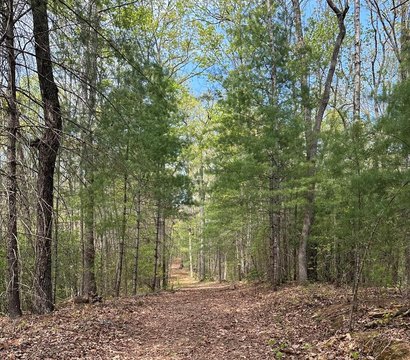 Ellijay, GA Vacant Lot