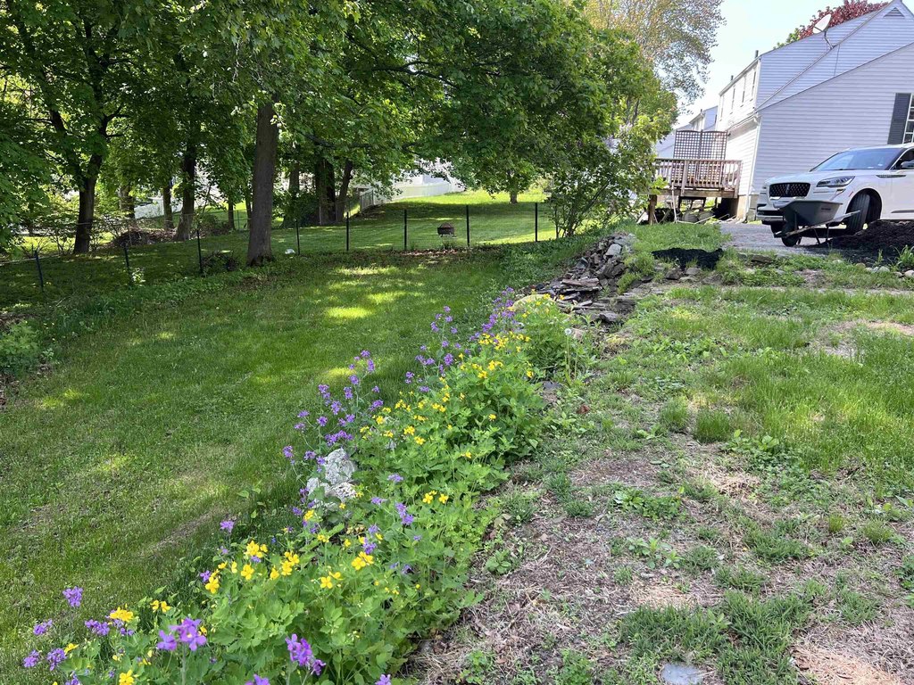 Picture 32