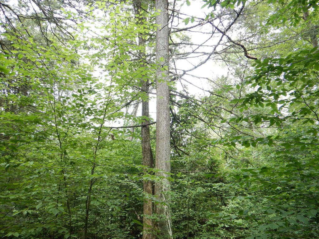 Picture 10