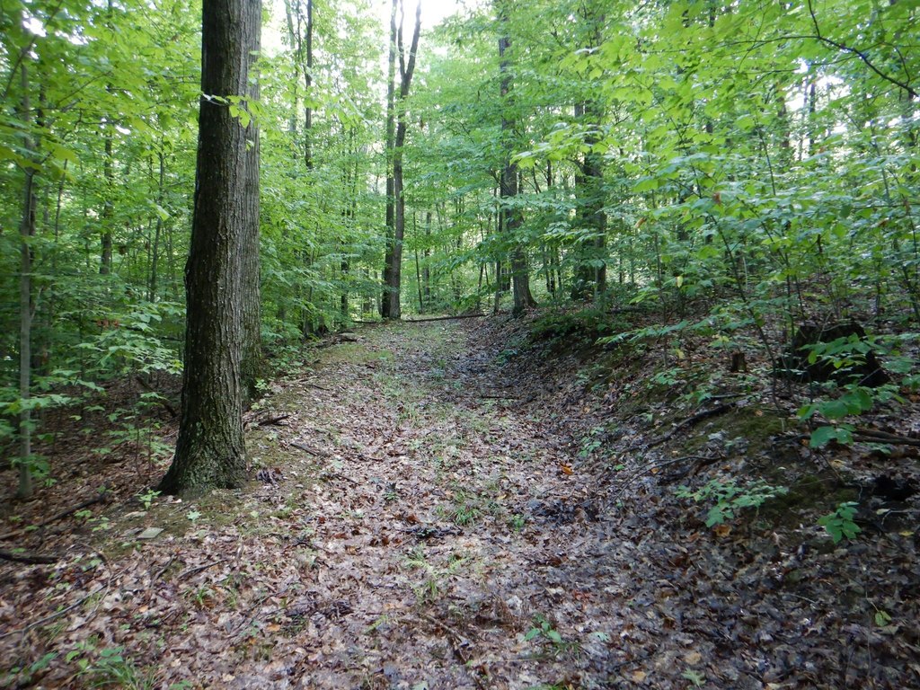 Picture 16