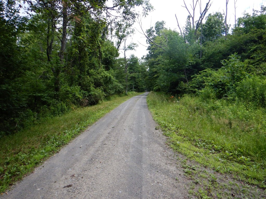 Picture 22
