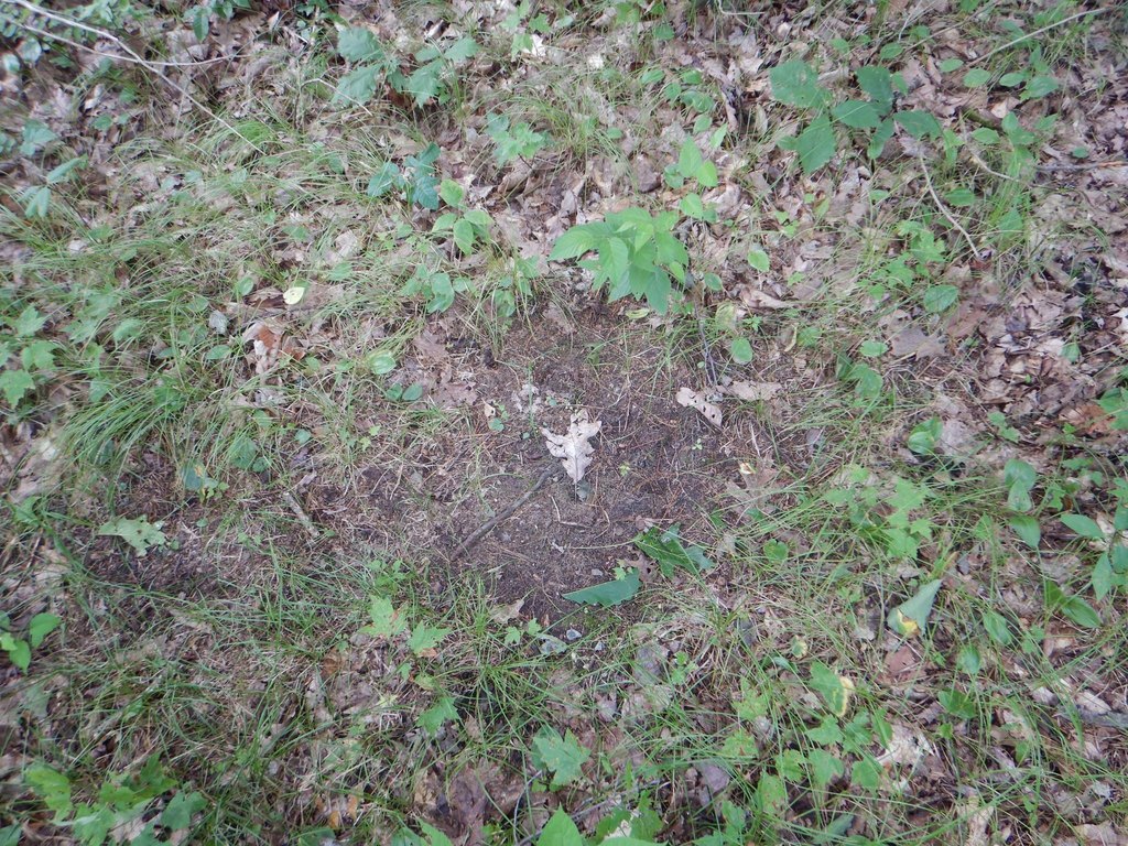 Picture 6