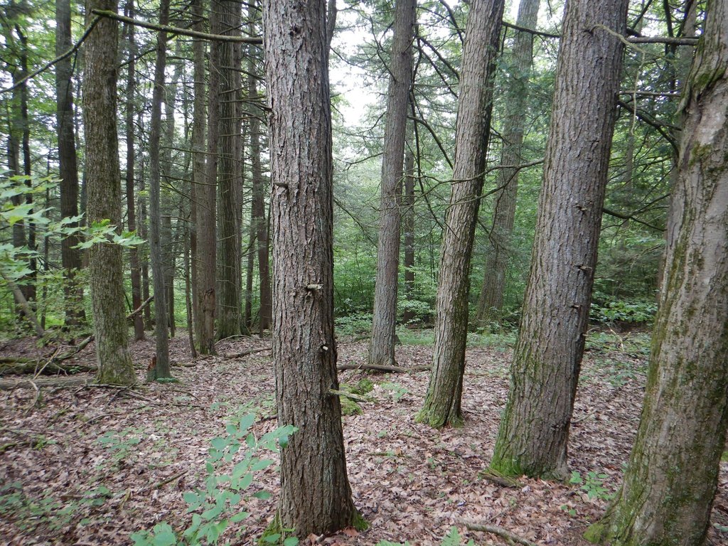 Picture 4
