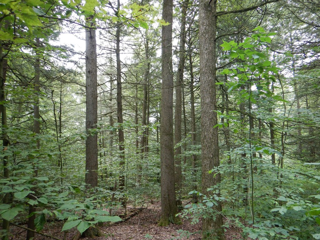Picture 18