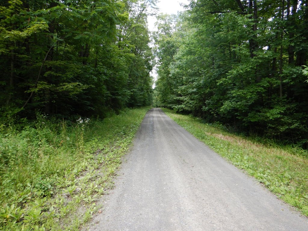 Picture 21