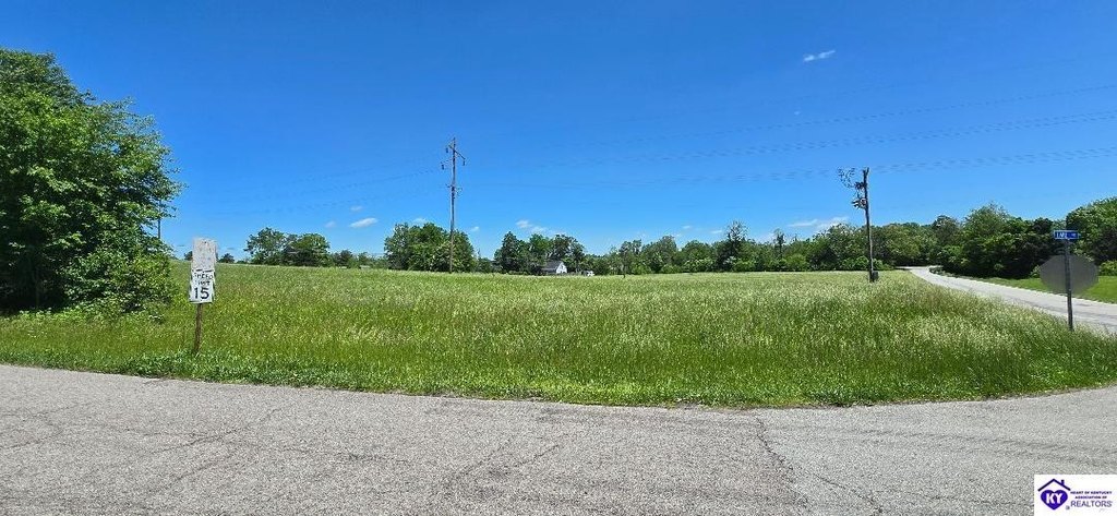 Picture 11
