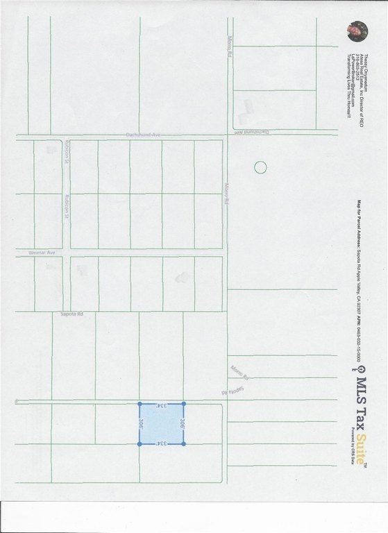 Picture 8