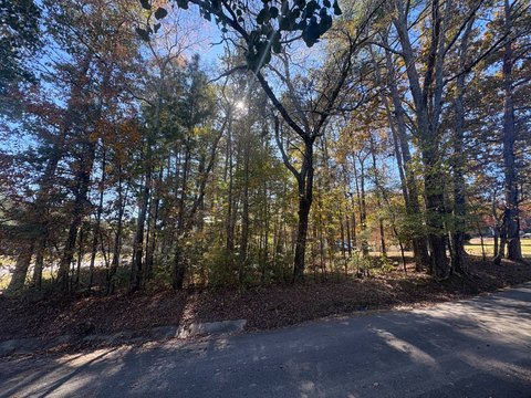 Pinson, AL Vacant Corner Lot