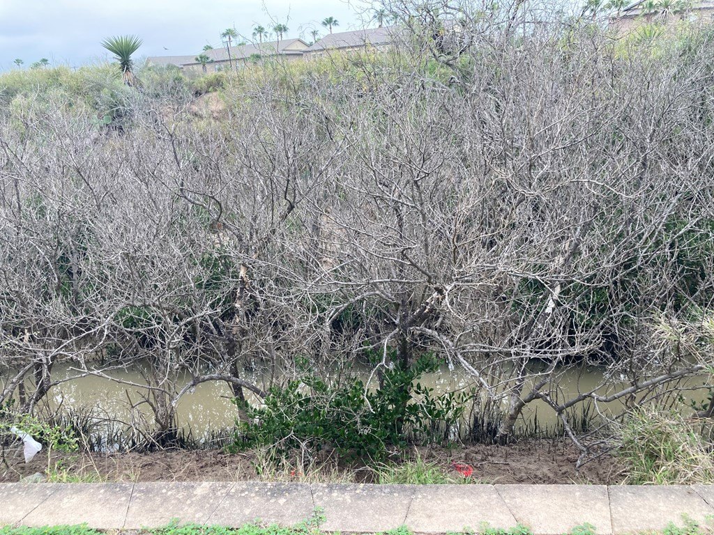 Picture 3